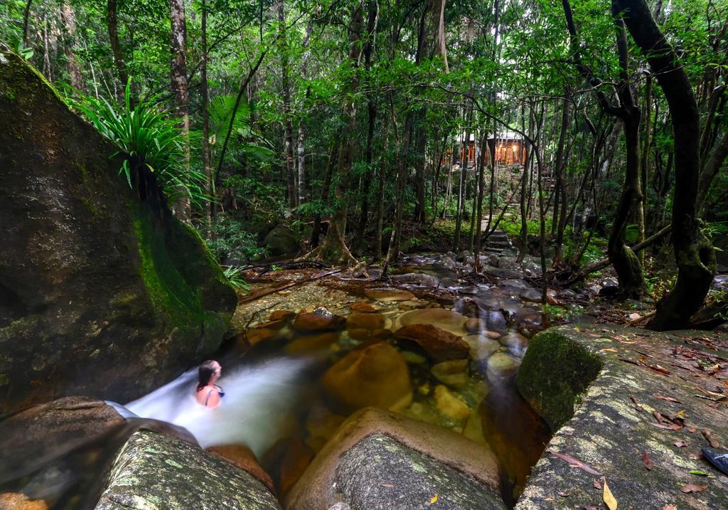 Villa Daintree Cascades à Cape Tribulation Extérieur photo