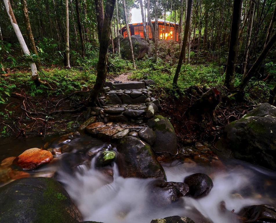 Villa Daintree Cascades à Cape Tribulation Extérieur photo