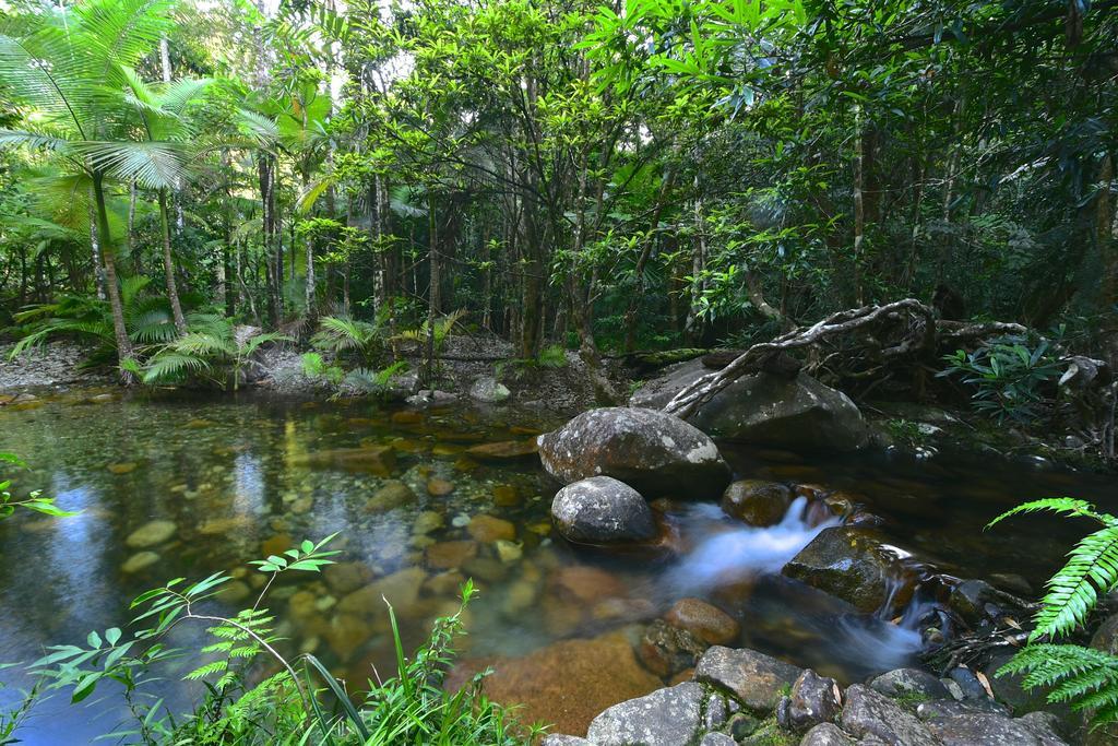 Villa Daintree Cascades à Cape Tribulation Extérieur photo