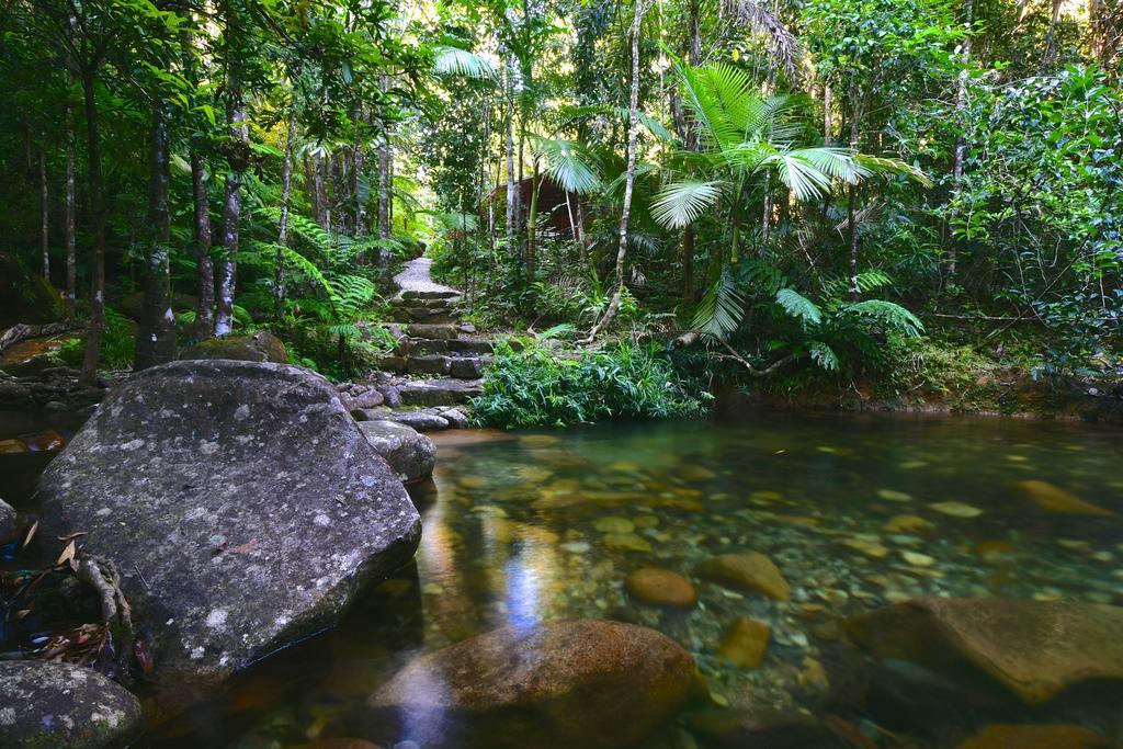 Villa Daintree Cascades à Cape Tribulation Extérieur photo