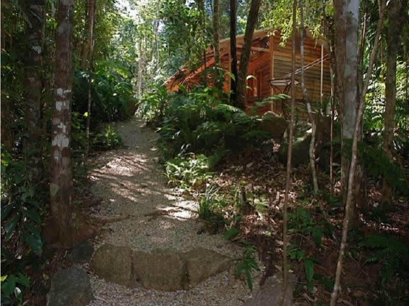 Villa Daintree Cascades à Cape Tribulation Extérieur photo